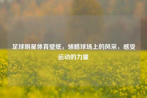 足球明星体育壁纸，领略球场上的风采，感受运动的力量