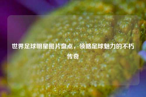 世界足球明星图片盘点，领略足球魅力的不朽传奇