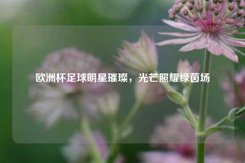 欧洲杯足球明星璀璨，光芒照耀绿茵场