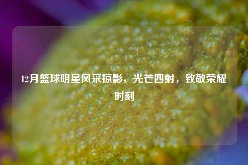 12月篮球明星风采掠影，光芒四射，致敬荣耀时刻