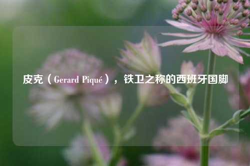 皮克（Gerard Piqué），铁卫之称的西班牙国脚