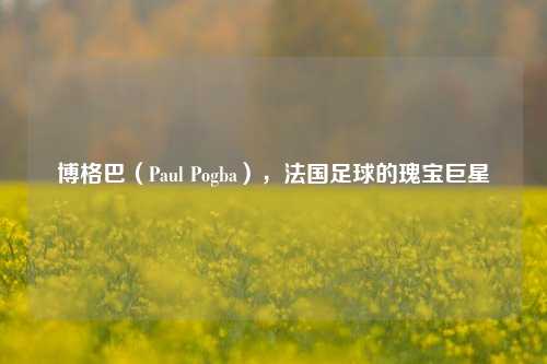 博格巴（Paul Pogba），法国足球的瑰宝巨星