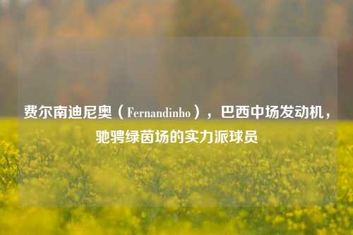 费尔南迪尼奥（Fernandinho），巴西中场发动机，驰骋绿茵场的实力派球员