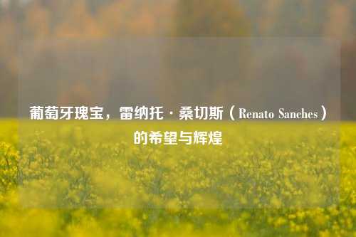 葡萄牙瑰宝，雷纳托·桑切斯（Renato Sanches）的希望与辉煌