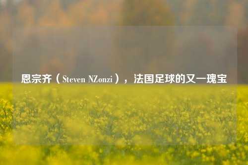 恩宗齐（Steven NZonzi），法国足球的又一瑰宝